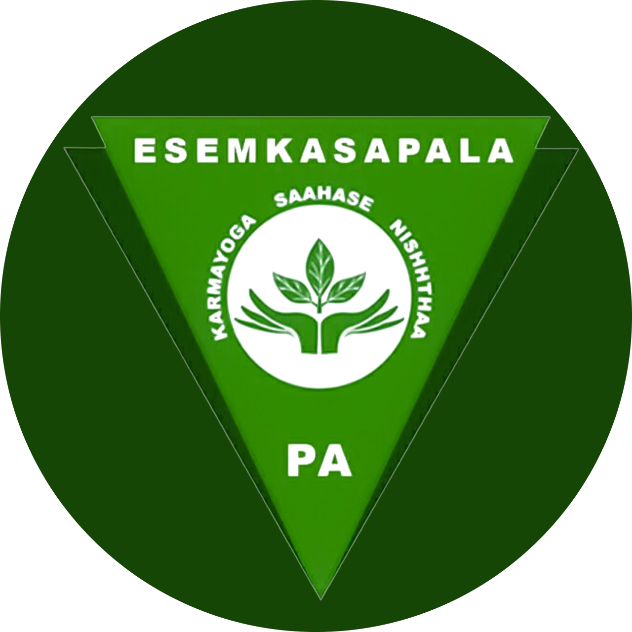 logo pa